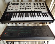Oberheim - top